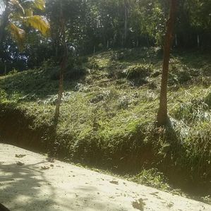 Land for Sale in Pujapitiya - Image 3