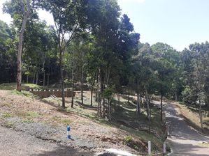 Residential land for sale in Digana, Malpana