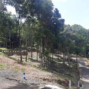 Residential land for sale in Digana, Malpana - Image 2