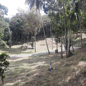 Residential land for sale in Digana, Malpana - Image 3