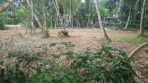 Land for Sale in Horagala Dampe