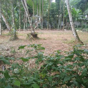 Land for Sale in Horagala Dampe - Image 2