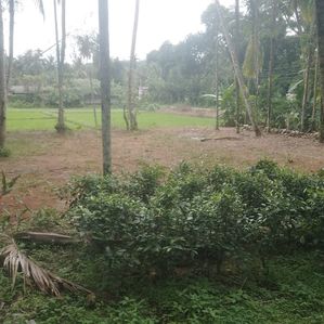 Land for Sale in Horagala Dampe - Image 3