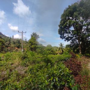 Residential Land sale in Hadeniya - Image 3