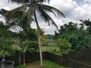 අඹේපුස්ස දුම්රිය පොළ අසල වෙල්යායකට මුණලා ඉඩම