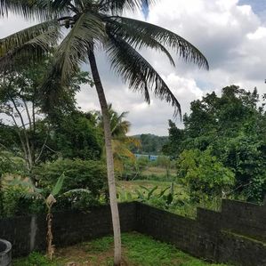 අඹේපුස්ස දුම්රිය පොළ අසල වෙල්යායකට මුණලා ඉඩම - Image 2