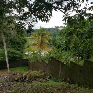 අඹේපුස්ස දුම්රිය පොළ අසල වෙල්යායකට මුණලා ඉඩම - Image 3