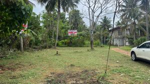 Land for Sale in Piduruwella