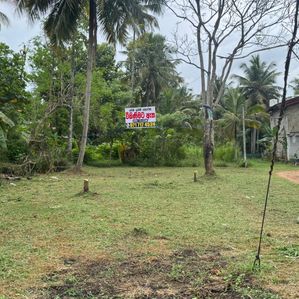 Land for Sale in Piduruwella - Image 2
