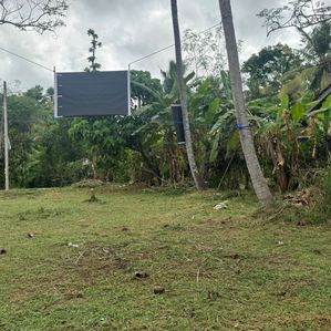 Land for Sale in Piduruwella - Image 3