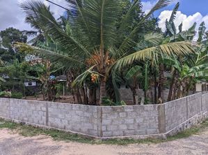 Land For Sale In Homagama (13.2)