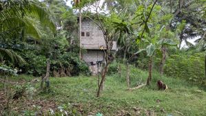 Bare Land for Sale හෝමාගම