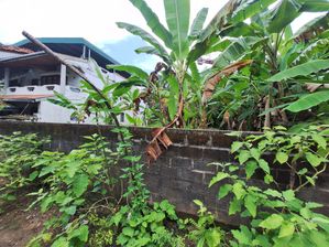 Residential Bare Land Sale Nawala
