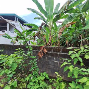 Residential Bare Land Sale Nawala - Image 2