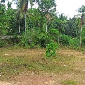 Land for Sale - Delgoda - Image 3