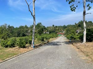 Valuable land for sale in Kalutara Alwiswatta