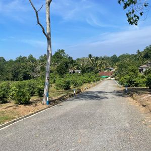 Valuable land for sale in Kalutara Alwiswatta - Image 2