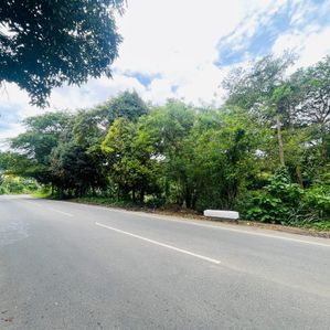 Land for Sale Kumaragama Balangoda - Image 2