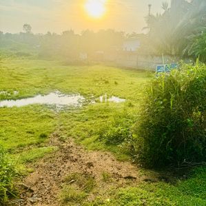 Land for Sale in Padalangala, Embilipitiya - Image 2