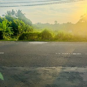 Land for Sale in Padalangala, Embilipitiya - Image 3