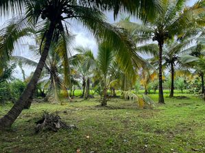 Land for Sale in Melsiripura