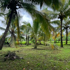 Land for Sale in Melsiripura - Image 2