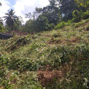 Land for Sale in Ratnapura - Image 3
