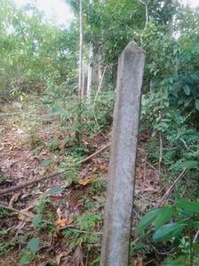 පීල්ලකන්ද ස්ටේට් Land for Sale