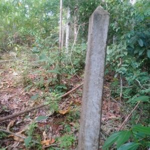 පීල්ලකන්ද ස්ටේට් Land for Sale - Image 2