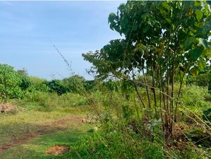 Land for Sale Kaluthara