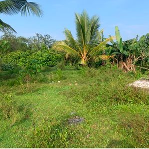 Land for Sale Kaluthara - Image 3