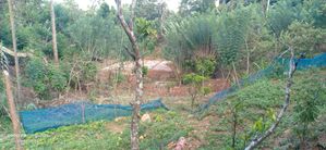 Land with House for Sale Welimada