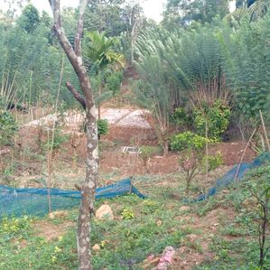 Land with House for Sale Welimada - Image 2