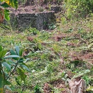 Land for Sale Watareka - Image 2
