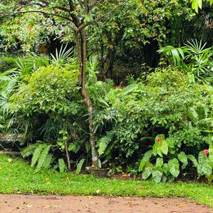 බුළුගොල්ල අධිවේගී මාර්ග පිවිසුමට 2km දුරින් පර්ච් 46 ඉඩමක් - Image 3