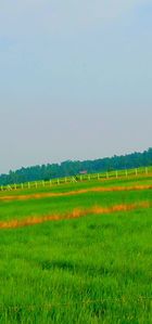 Agriculture Land for Sale Kilnochchi for sale in Kilinochchi, Kilinochchi