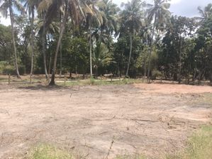 land for sale in nattandiya for sale in Puttalam, Puttalam